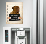 Dogues De Bordeaux Mugshot Bad Dog Fridge refrigerator Car Magnet