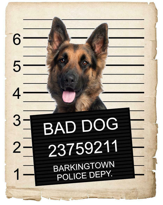 German Shepard Mugshot Bad Dog Fridge refrigerator Car Magnet