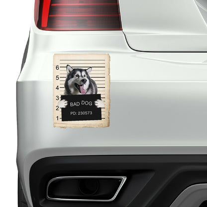 Alaskan Malamute Mugshot Bad Dog Fridge refrigerator Car Magnet Bumper Sticker
