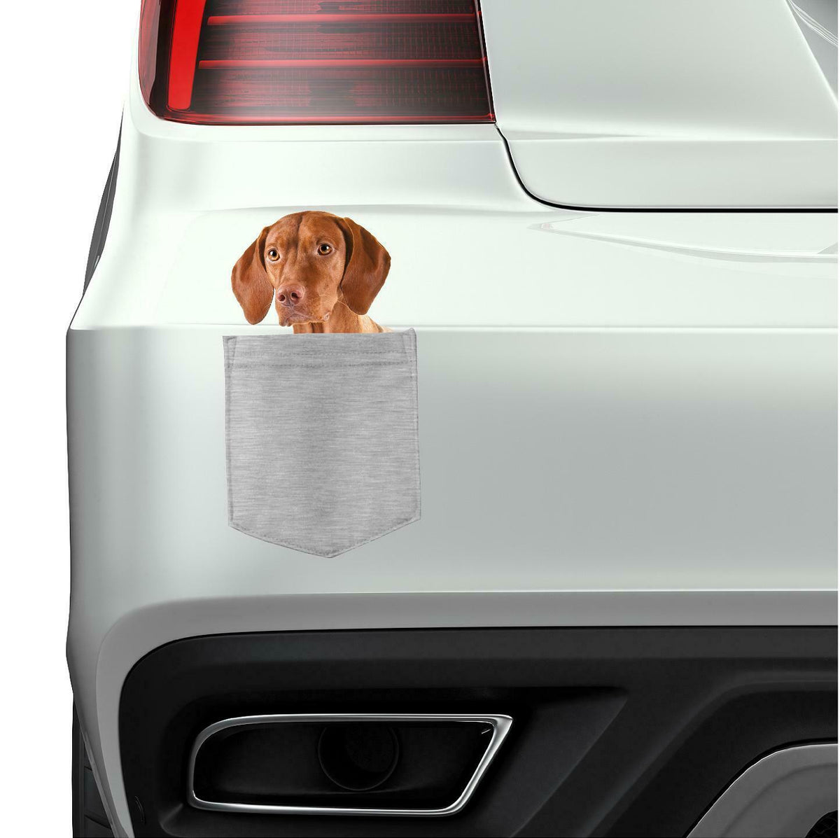 Vizsla Dog in pocket Fridge Car Magnet Bumper Sticker App size 4"x7"