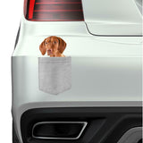 Vizsla Dog in pocket Fridge Car Magnet Bumper Sticker App size 4"x7"