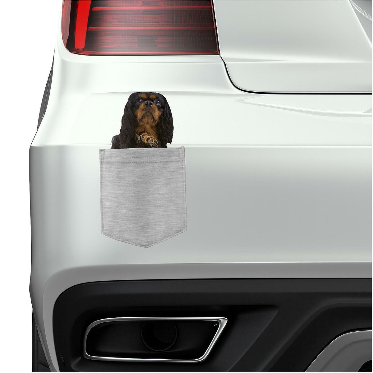 English Toy Spaniel in pocket Fridge Car Magnet Bumper Sticker App size 4"x7"