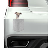 Greyhound with Glasses pocket Fridge Car Magnet Bumper Sticker App size 4"x7"