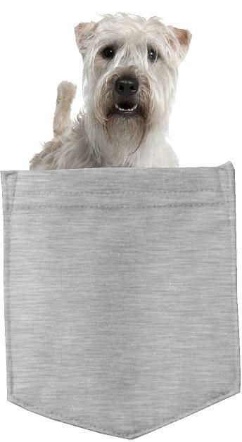 Soft Coated Wheaten in pocket Fridge Car Magnet Bumper Sticker App size 4"x7"