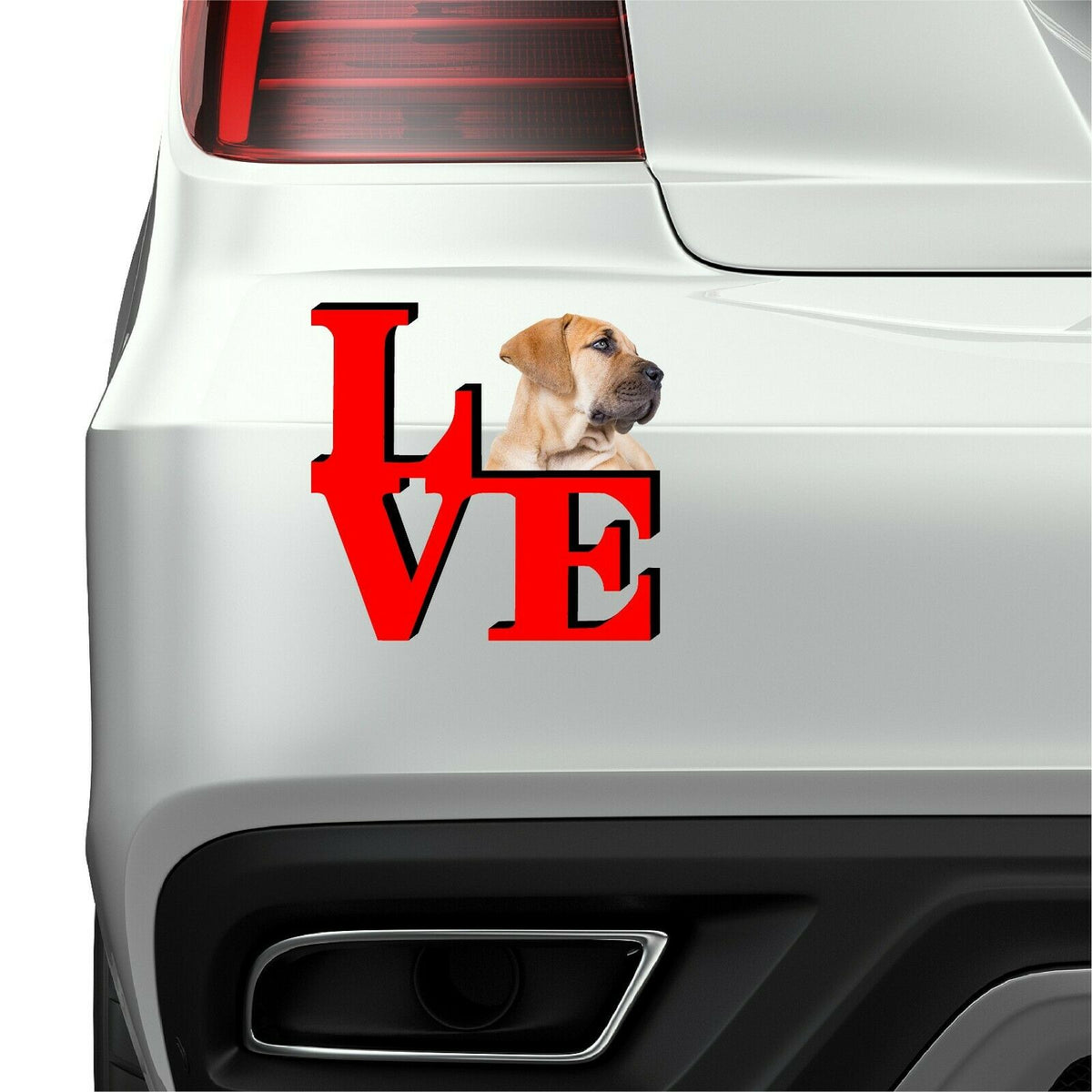 Boerboel Dog Love Park Cute Dog Fridge Refrigerator Car Magnet