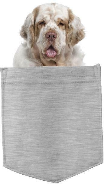 Clumber Spaniel Dog in pocket Fridge Car Magnet Bumper Sticker App size 4"x7"