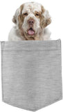 Clumber Spaniel Dog in pocket Fridge Car Magnet Bumper Sticker App size 4"x7"