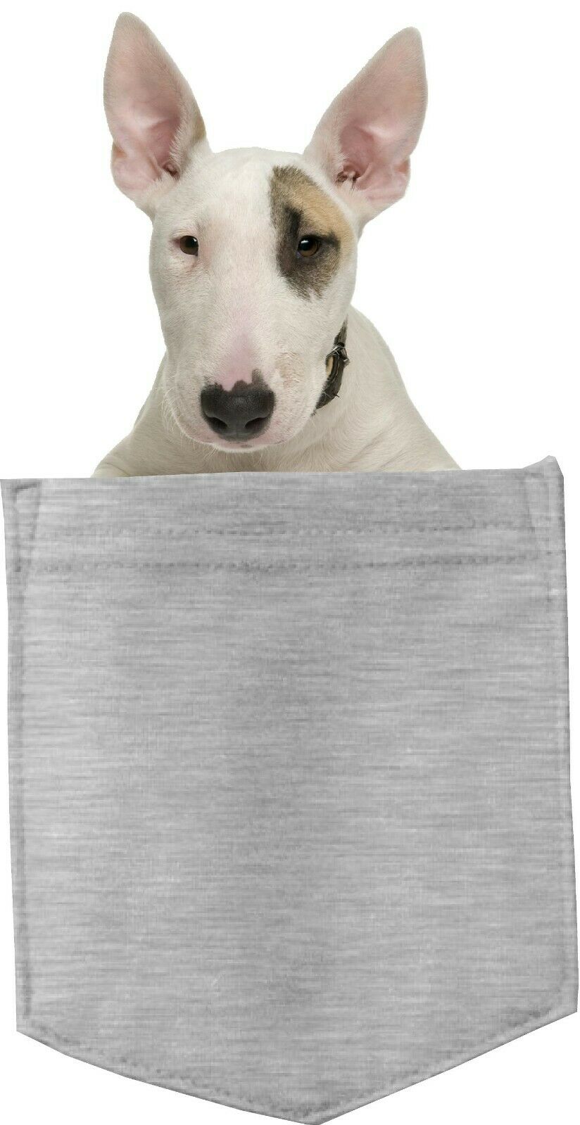 Bull Terrier Dog in pocket Fridge Car Magnet Bumper Sticker App size 4"x7"