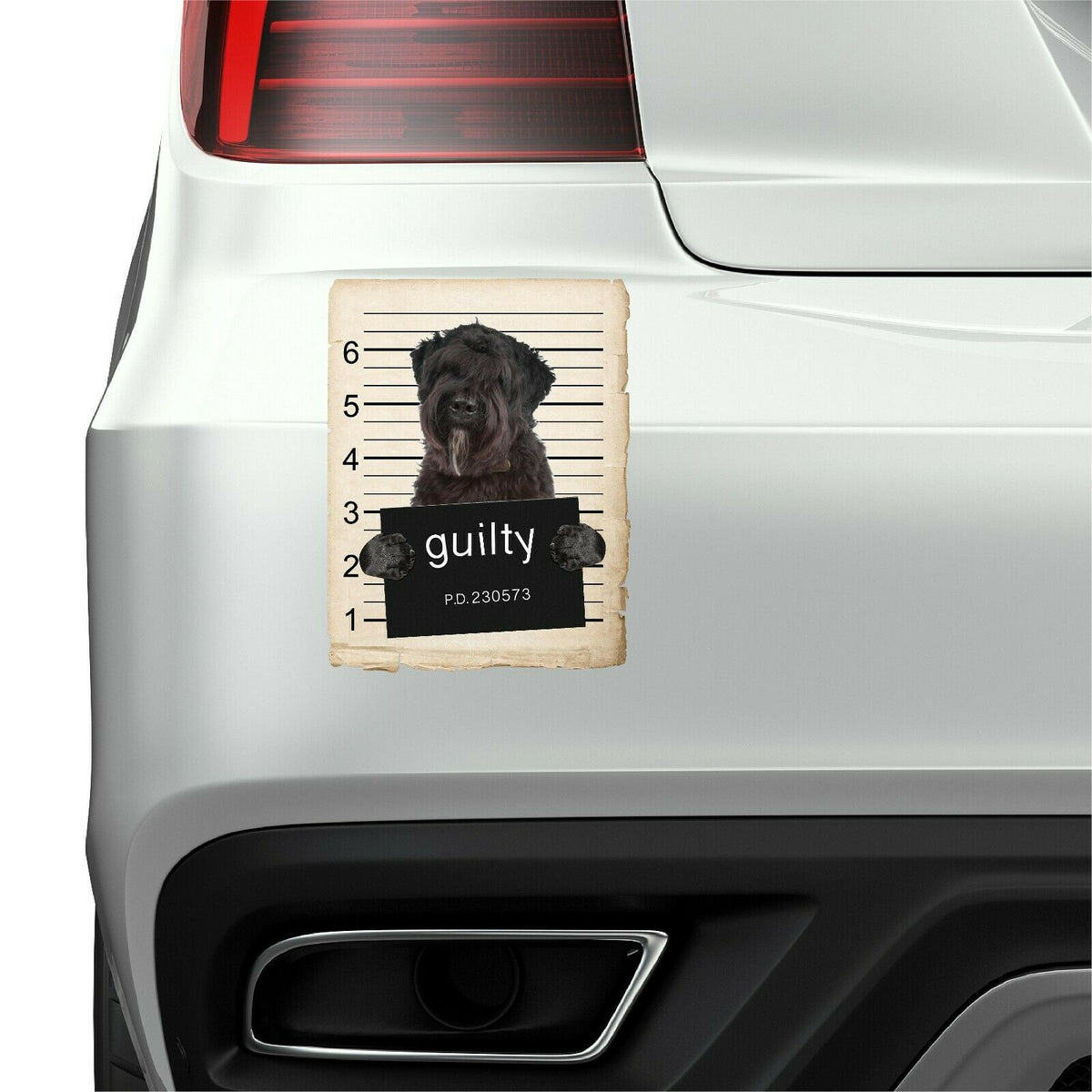 Bouviers Des Flandre Mugshot Bad Dog Fridge refrigerator Car Magnet