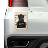 Bouviers Des Flandre Mugshot Bad Dog Fridge refrigerator Car Magnet