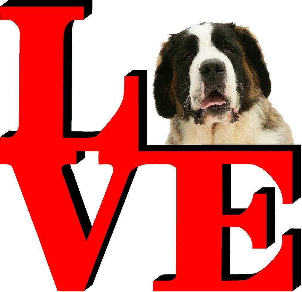 Saint Bernard Cute Dog Fridge Refrigerator Car Magnet
