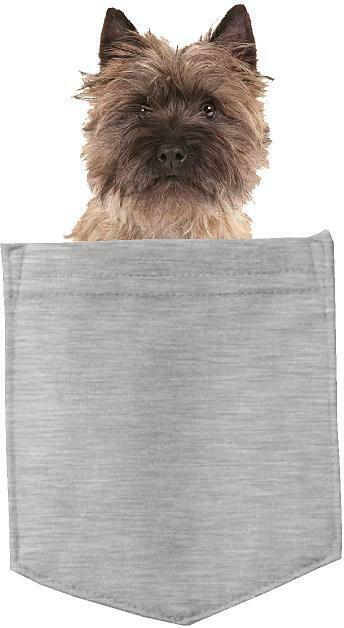 Cairn Terrier Dog in pocket Fridge Car Magnet Bumper Sticker App size 4"x7"