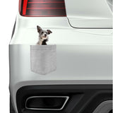 Australian Cattle Dog in pocket Fridge Car Magnet Bumper Sticker App size 4"x7"