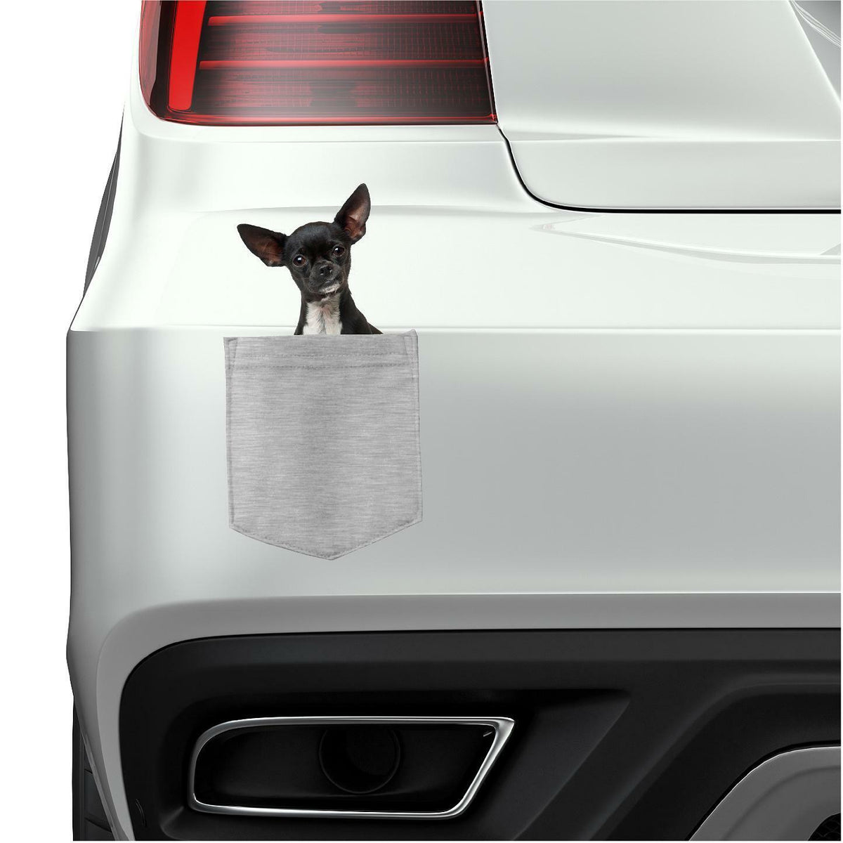 Chihuahua Dog in pocket Fridge Car Magnet Bumper Sticker App size 4"x7"