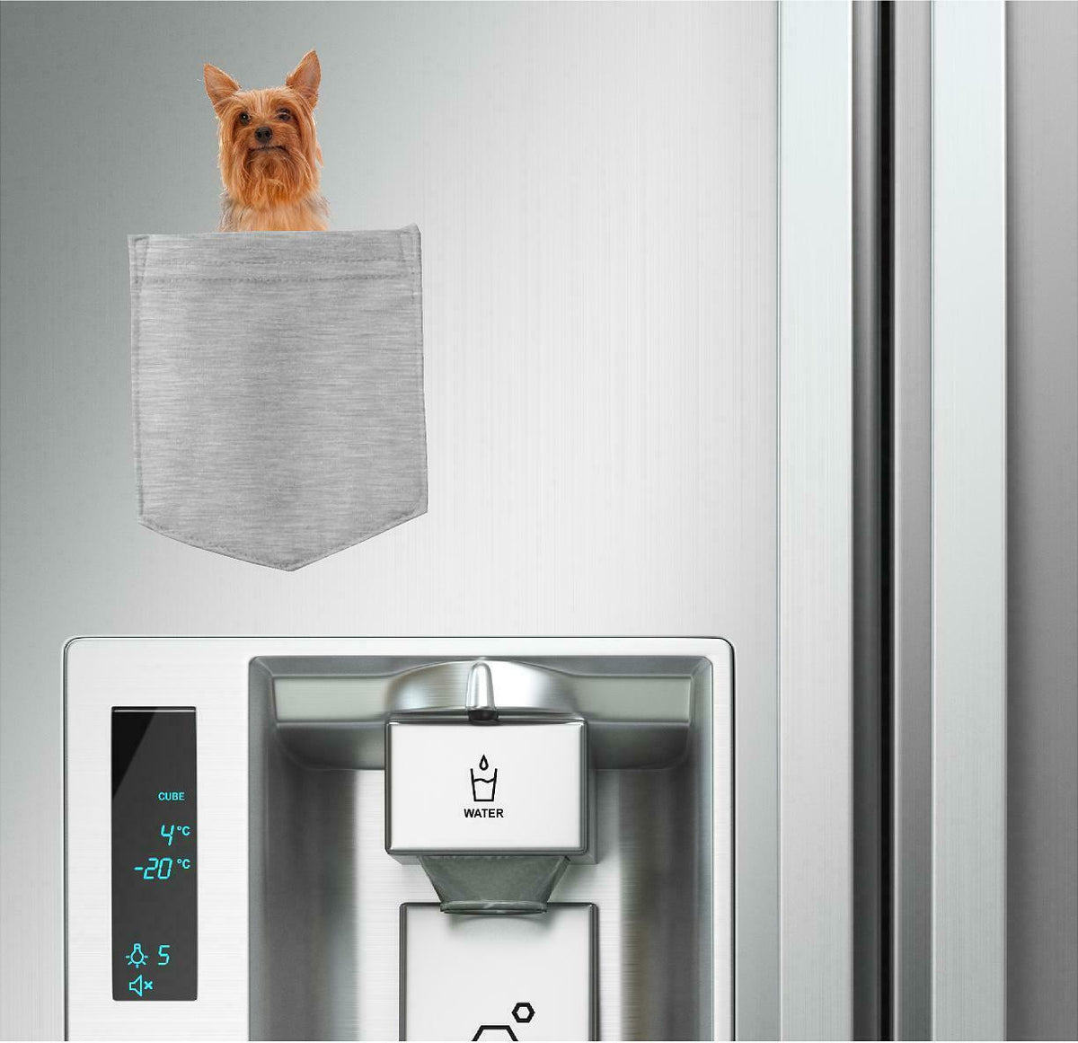 Silky Terrier Dog in pocket Fridge Car Magnet Bumper Sticker App size 4"x7"