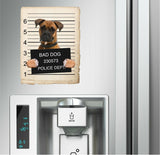 Boxer Mugshot Bad Dog Fridge refrigerator Car Magnet