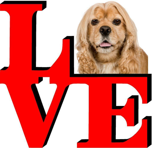 American Cocker Spaniel Love Park Cute Dog Fridge Refrigerator Car Magnet