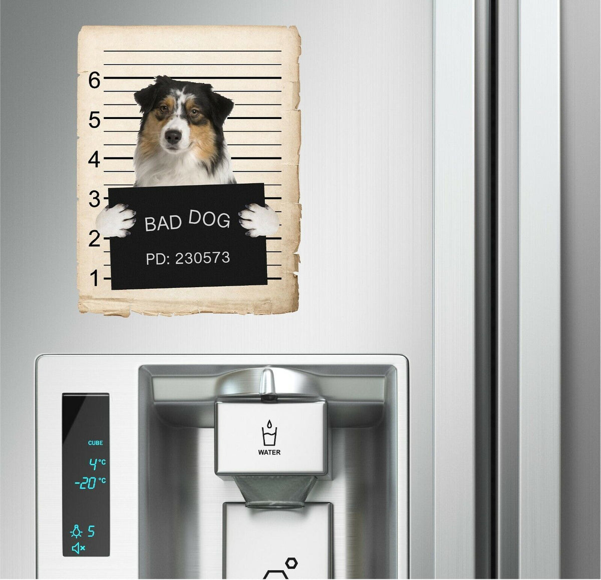 Australian Shepard Mugshot Bad Dog Fridge refrigerator Car Magnet