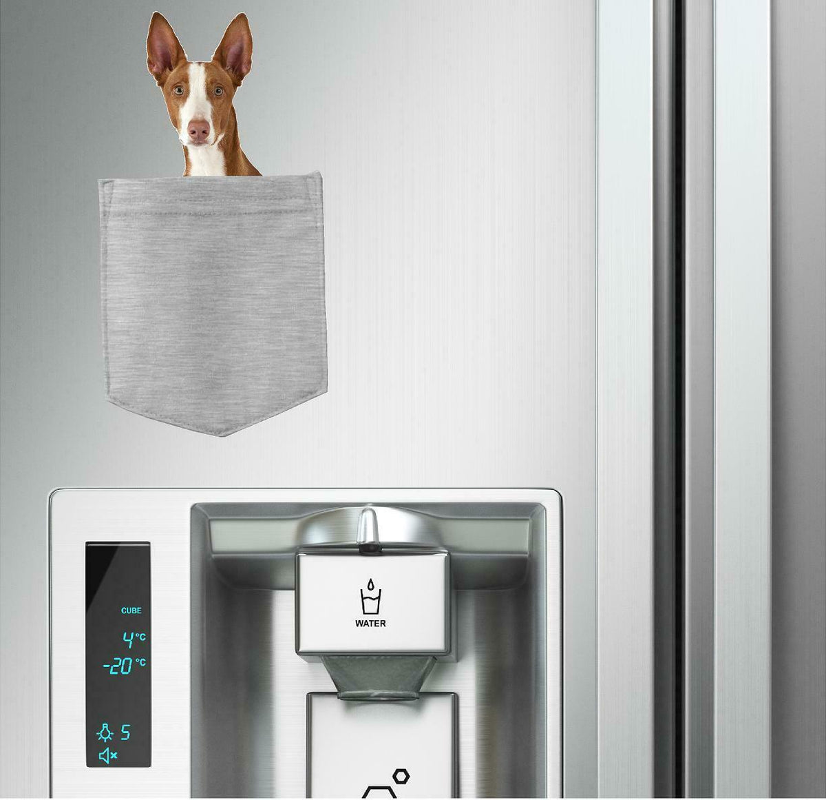 Ibizan Hound Dog in pocket Fridge Car Magnet Bumper Sticker App size 4"x7"