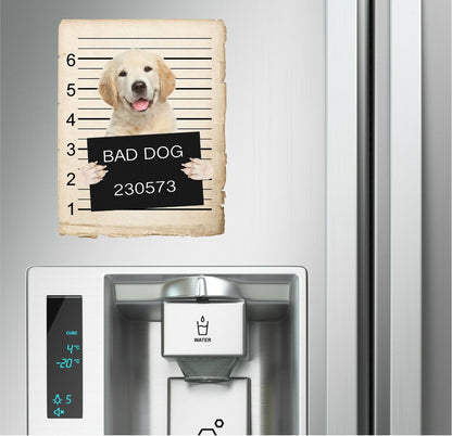 Golden Retriever Puppy Mugshot Bad Dog Fridge refrigerator Car Magnet