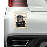 Beauceron Mugshot Bad Dog Fridge refrigerator Car Magnet Bumper Sticker