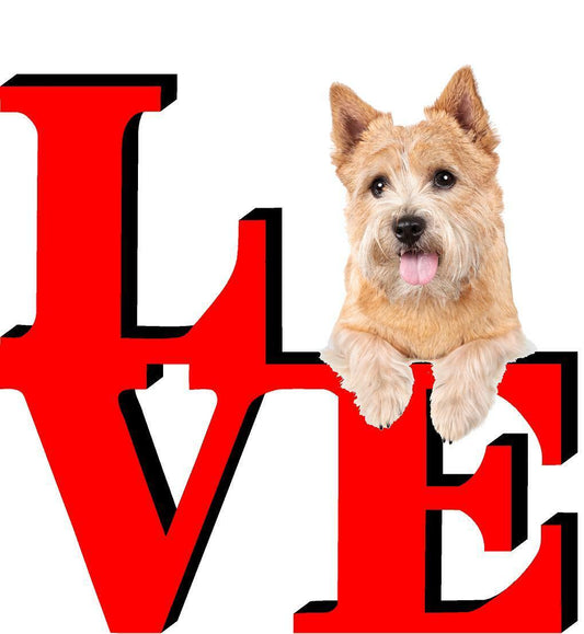 Norwich Terrier Love Park Cute Dog Fridge Refrigerator Car Magnet