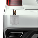 German Shepard Dog in pocket Fridge Car Magnet Bumper Sticker App size 4"x7"