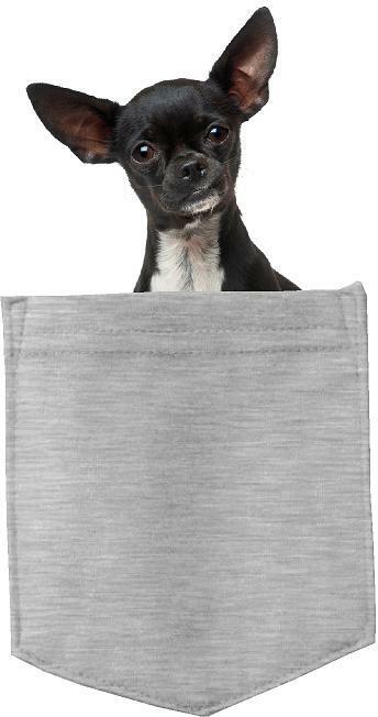 Chihuahua Dog in pocket Fridge Car Magnet Bumper Sticker App size 4"x7"