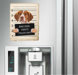 Brittany Mugshot Bad Dog Fridge refrigerator Car Magnet