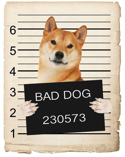 Shiba Inu Mugshot Bad Dog Fridge refrigerator Car Magnet