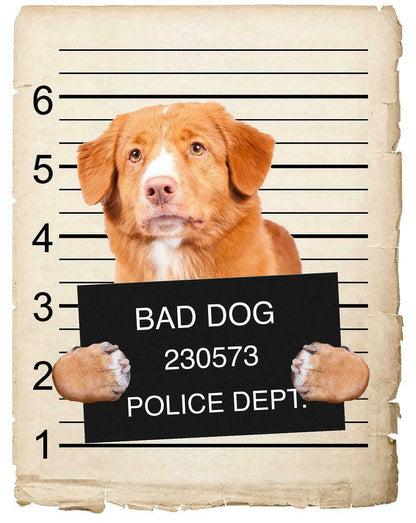 Nova Scotia Duck Toller Mugshot Bad Dog Fridge refrigerator Car Magnet