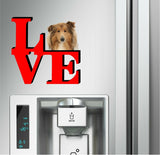 Collie Dog Love Park Dog Fridge Refrigerator Car Magnet