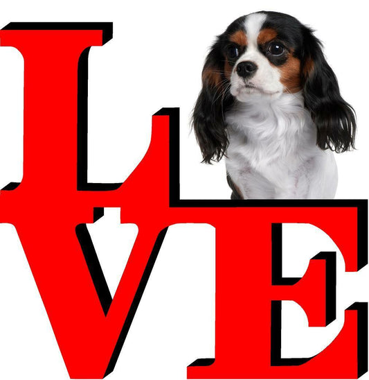 Cavalier King Charles Spaniel Dog Love Park Dog Fridge Refrigerator Car Magnet