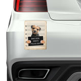 Border Terrier Mugshot Bad Dog Fridge refrigerator Car Magnet