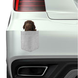 Retriever Flat-Coated in pocket Fridge Car Magnet Bumper Sticker App size 4"x7"