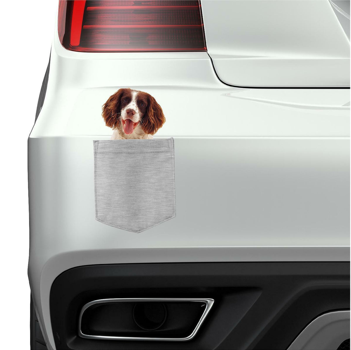 English Springer Spaniel in pocket Fridge Car Magnet Bumper Sticker
