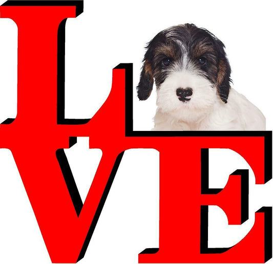Sealyham Terrier Cute Dog Fridge Refrigerator Car Magnet