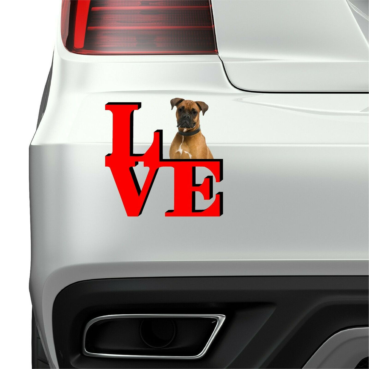 Boxer Dog Love Park Cute Dog Fridge Refrigerator Car Magnet