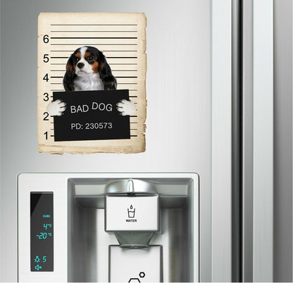 Cavalier King Charles Spaniel Mugshot Bad Dog Fridge refrigerator Car Magnet