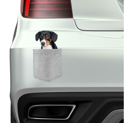 Wirehaired Vizsla Dog in pocket Fridge Car Magnet Bumper Sticker App size 4"x7"