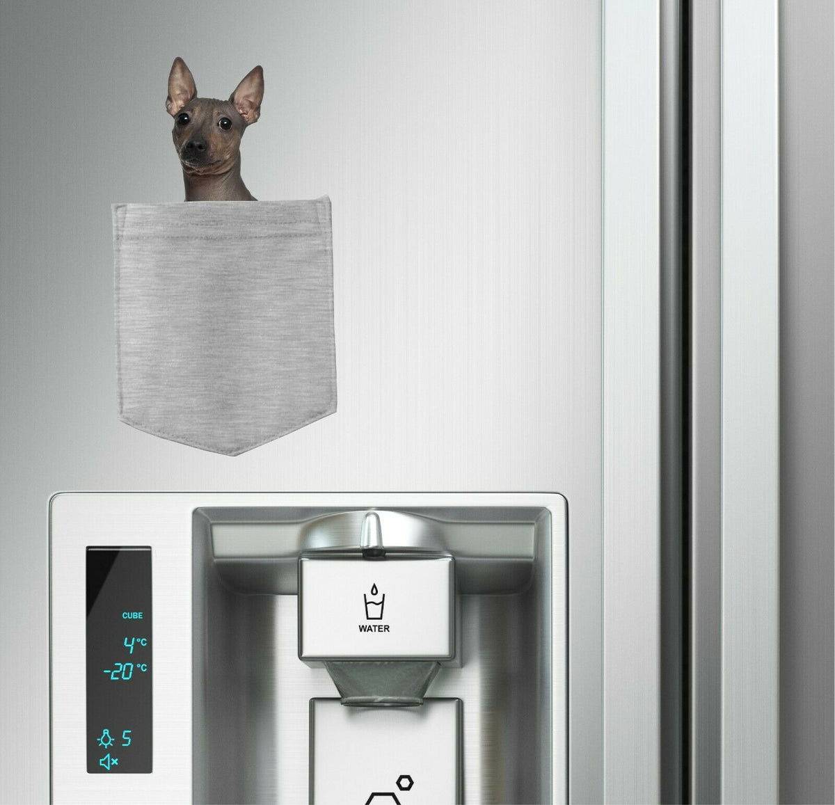 American Hairless Dog in pocket Fridge Car Magnet Bumper Sticker App size 4"x7"