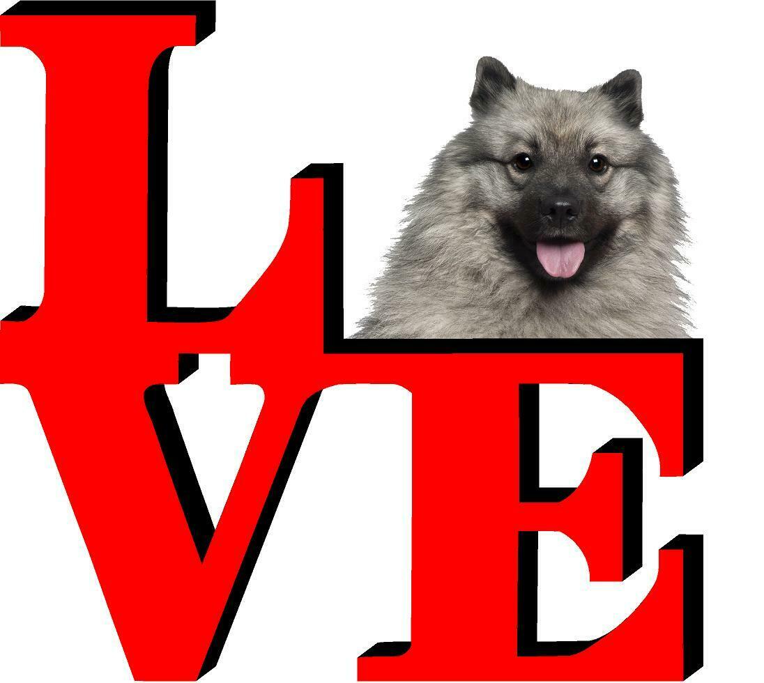 Keeshonden Dog Love Park Dog Fridge Refrigerator Car Magnet