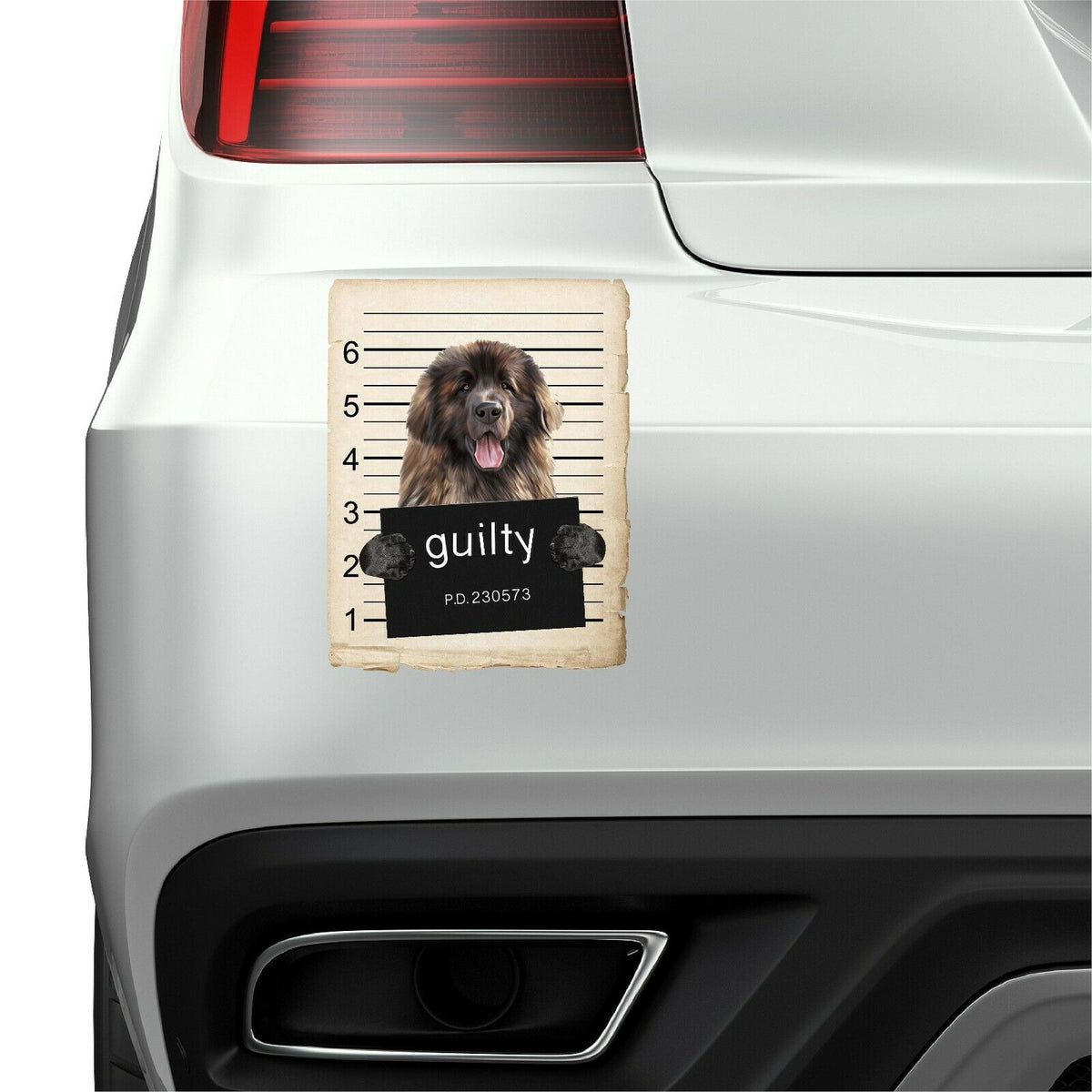 Leonberger Mugshot Bad Dog Fridge refrigerator Car Magnet
