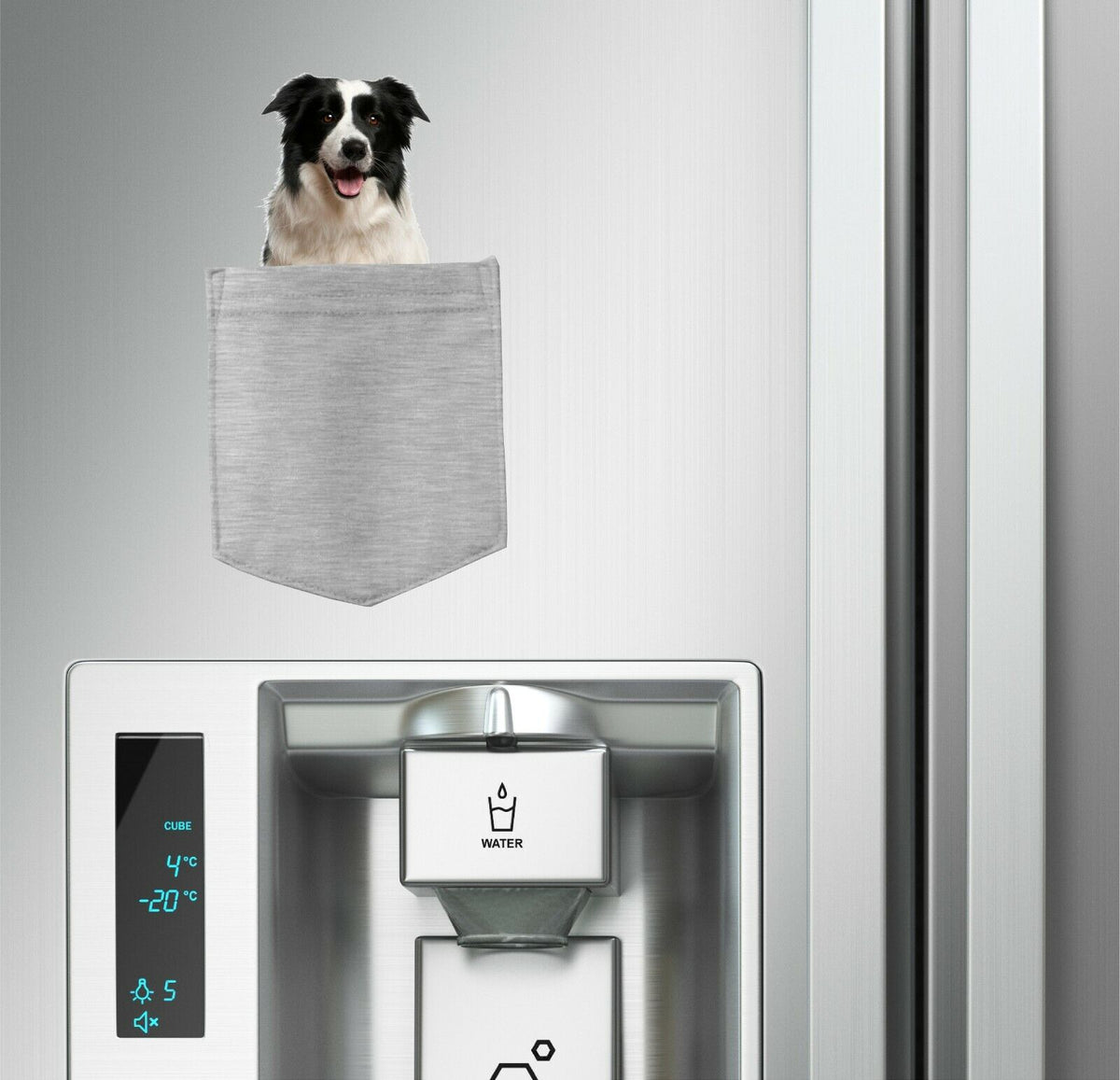 Border Collie in pocket Fridge Car Magnet Bumper Sticker App size 4"x7"