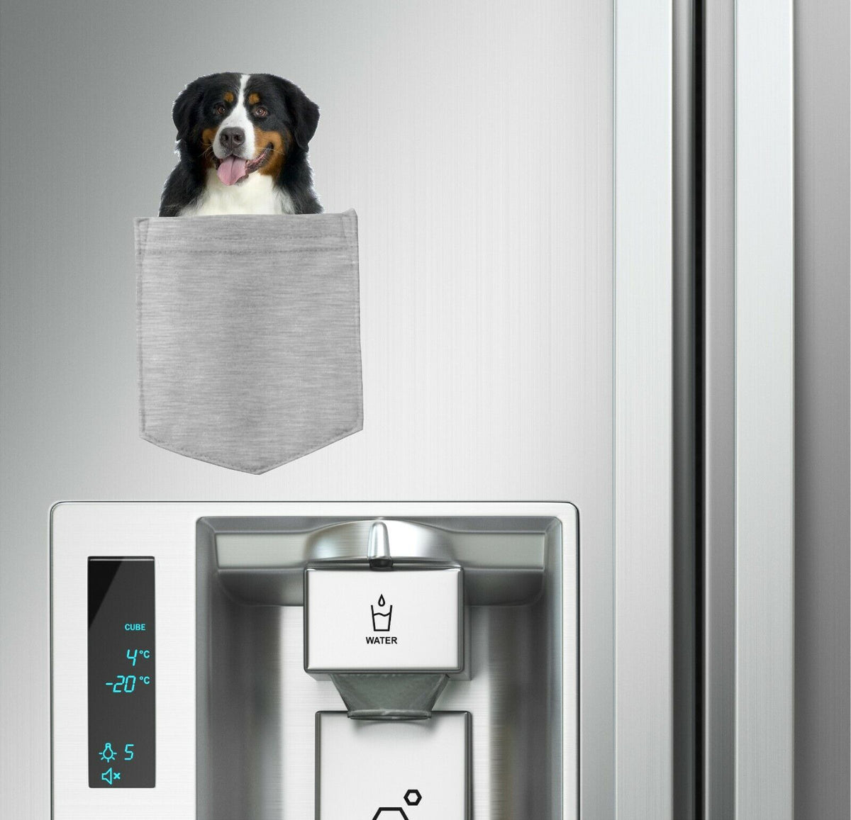 Bernese Mountain Dog in pocket Fridge Car Magnet Bumper Sticker App size 4"x7"