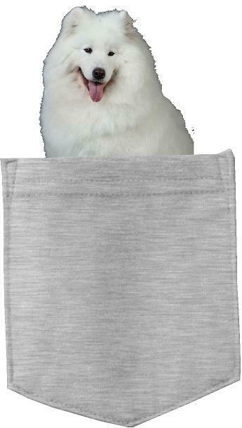 Samoyed Dog in pocket Fridge Car Magnet Bumper Sticker App size 4"x7"