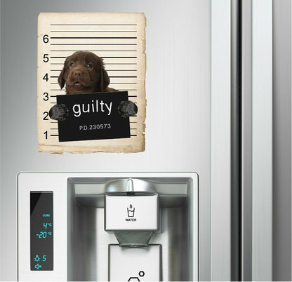 Flat coated retriever Mugshot Bad Dog Fridge refrigerator Car Magnet