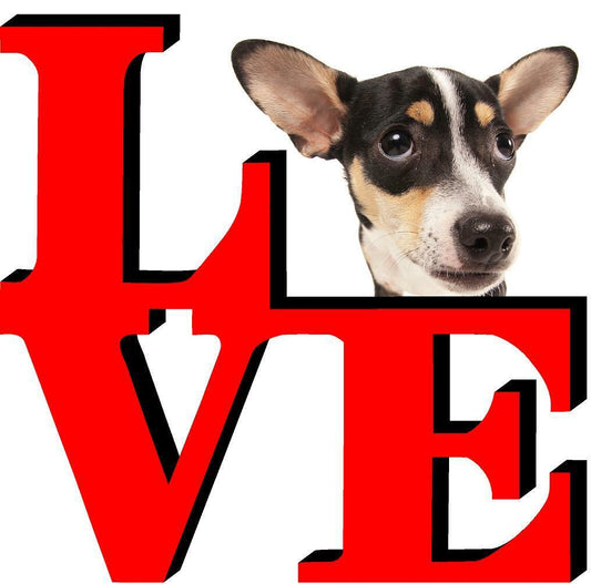 Rat Terrier Park Cute Dog Fridge Refrigerator Car Magnet