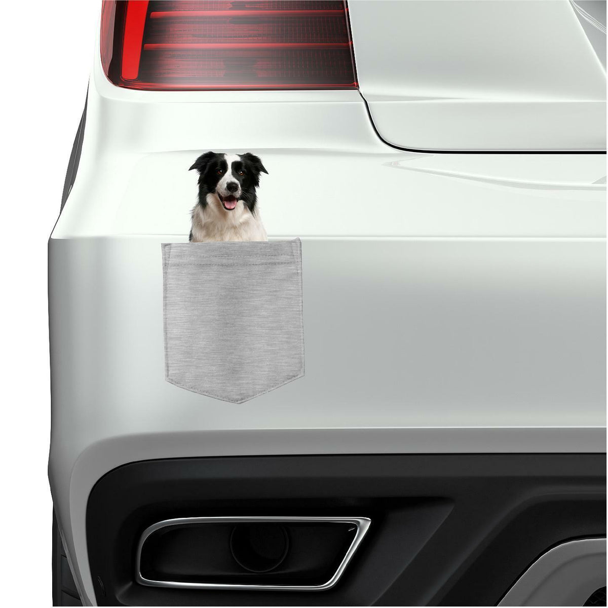 Border Collie in pocket Fridge Car Magnet Bumper Sticker App size 4"x7"