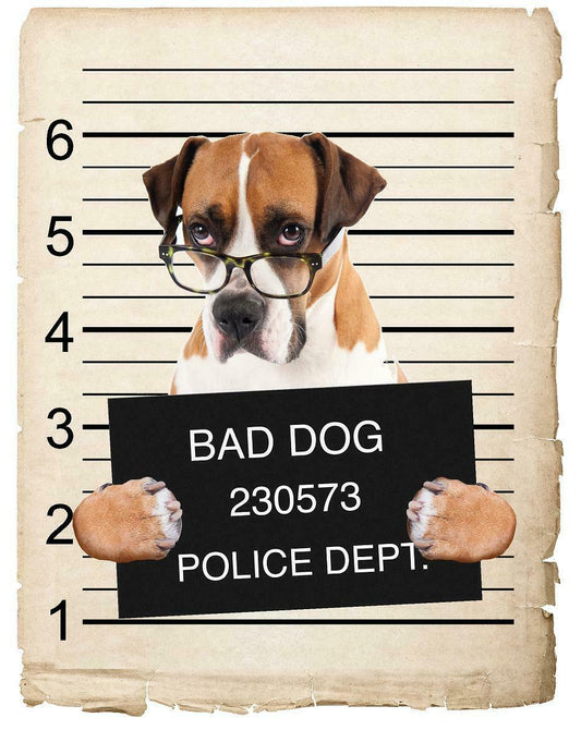 Boxer w/ glasses Mugshot Bad Dog Fridge refrigerator Car Magnet